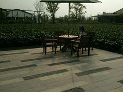 android_upload_pic-田园东方蜜桃村的田野营地