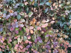 -无锡市市民中心