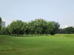 -裕华世纪公园