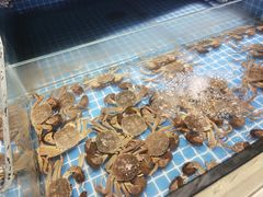 -星伦多自助料理·涮烤一体(杭州来福士店)