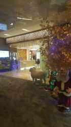 -丝情发艺 I SALON