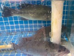 -津沽小院(天津之眼店)