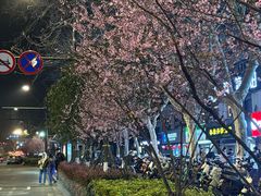 -荆九爷爆炒桥头三嫩(夫子庙店)