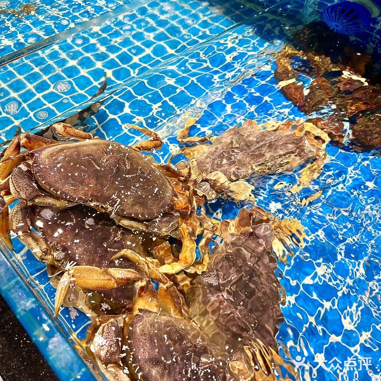 杭州适合聚会和商务宴请的海鲜餐厅‼️