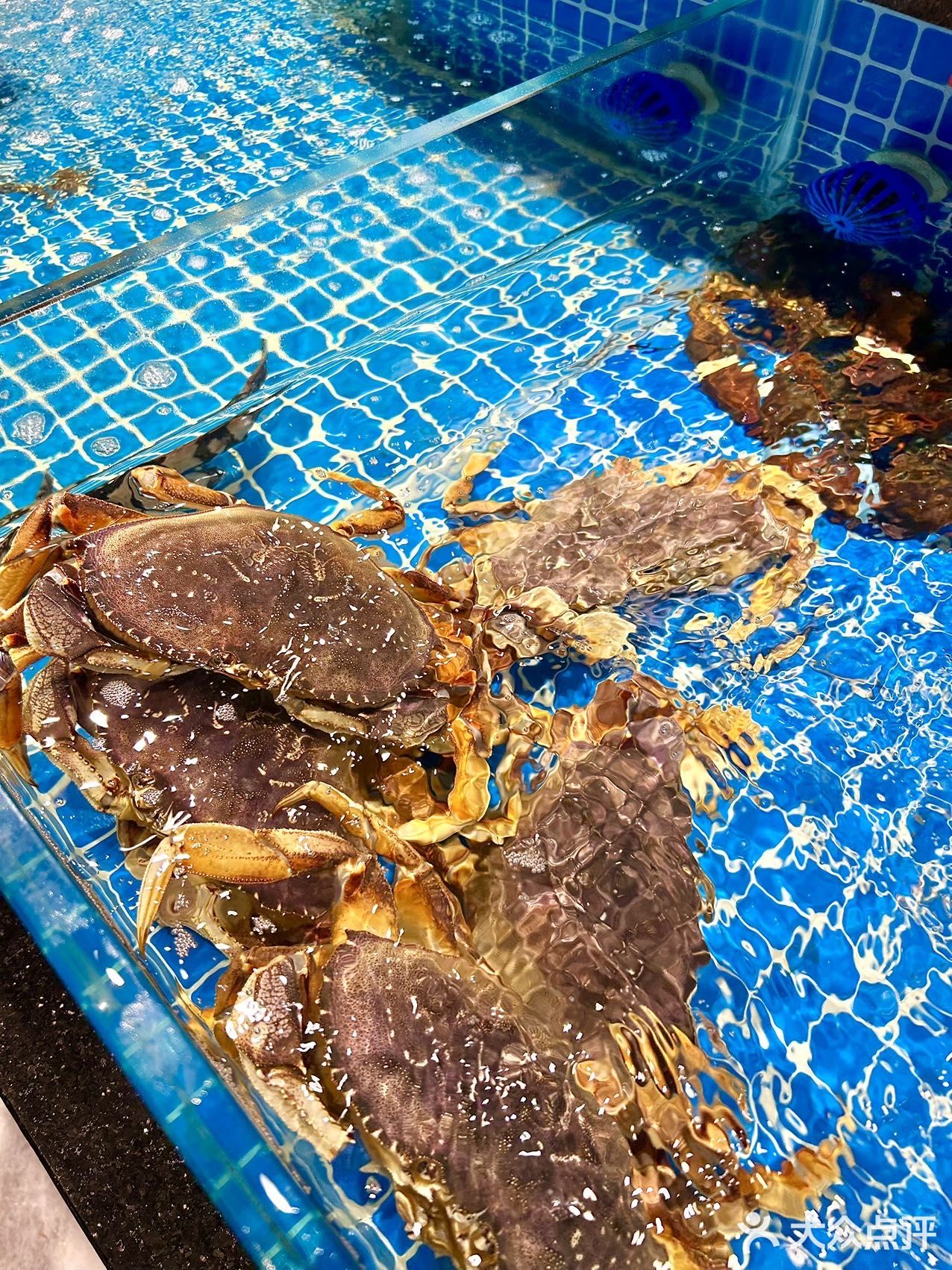 杭州适合聚会和商务宴请的海鲜餐厅‼️