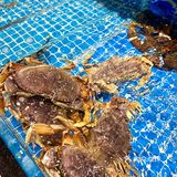 杭州适合聚会和商务宴请的海鲜餐厅‼️