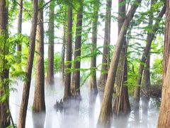 -东湖落雁景区
