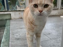 -小时光咖啡馆(北锣鼓巷店)