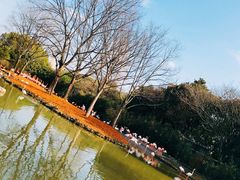 -上海野生动物园