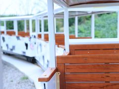 -杭州湾海上花田景区