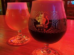 -Boxing Cat Brewery拳击猫精酿啤酒馆(永福店)