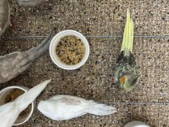 -万达广场(南京江宁店)