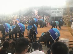 -东芭乐园