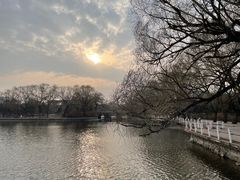 -北陵公园