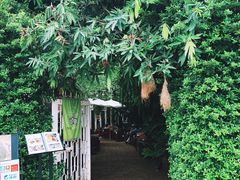 -Fern Forest Cafe