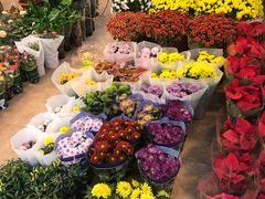 -双季花艺园艺市场(浦东店)