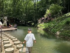 -牛背梁国家森林公园