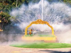 -西双版纳原始森林公园