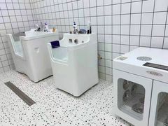 -BABIT巴比特宠物(MOMOPARK店)