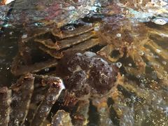 -蟹之国·精品蟹料理(极地店)