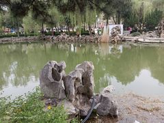 -西苑公园