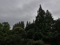 -乌村