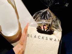 -BLACKSWAN黑天鹅(环球店)