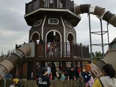 -上海长兴岛郊野公园