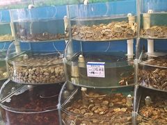 水产区-同道蒸汽海鲜烧烤自助(刘庄夜市店)