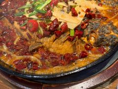 -老板恋上鱼(印象城店)