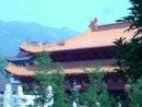 -普陀寺