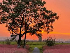 -汉长安城未央宫国家考古遗址公园