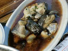 -印象鲵宴·张家界地标美食名片(溪布街店)