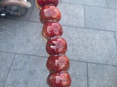 -糖葫芦王保定名吃(古莲花池店)