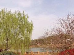-南京枫彩漫城