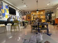 -平行世界·猫咖(首经贸店)
