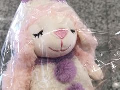 -九木杂物社(恒隆广场店)