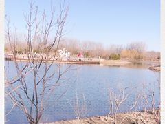 -东郊湿地公园