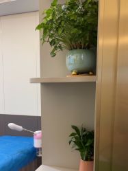 -泉州欧菲医疗美容