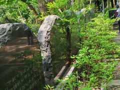 -上海佘山国家森林公园天马山园