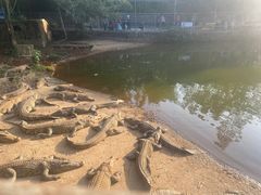 -广东茂名森林公园