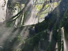 -青青世界