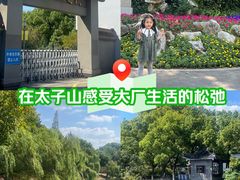 -太子山公园(园东路)