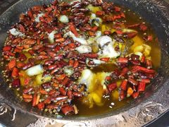 -雲蜀龙阁·金牌水煮鱼(方庄店)