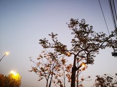 -杭州九堡客运中心