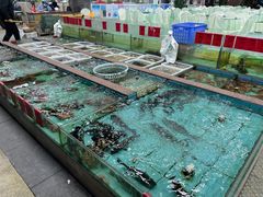 水产区-景好海鲜餐厅(大鹏必选旅游店)