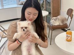 -共舞时光猫咖·狗咖(新街口店)