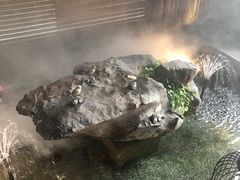 -足本纪·足道 SPA 简餐 小吃(文三西路店)
