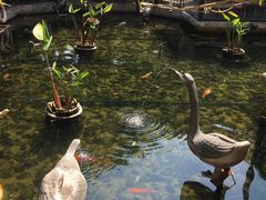 -鹅公村·国家非遗传承(荔湾店)