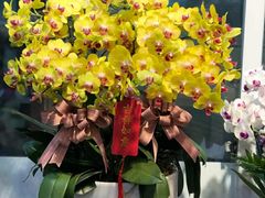 -EPOQUE·一刻花店(兴业太古汇店)